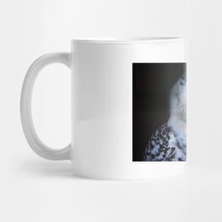 Snowy owl Mug